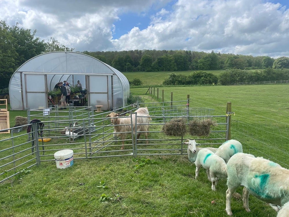 Farm