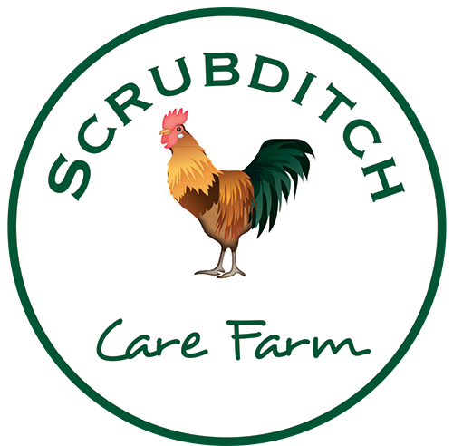Scrubditch Care Farm